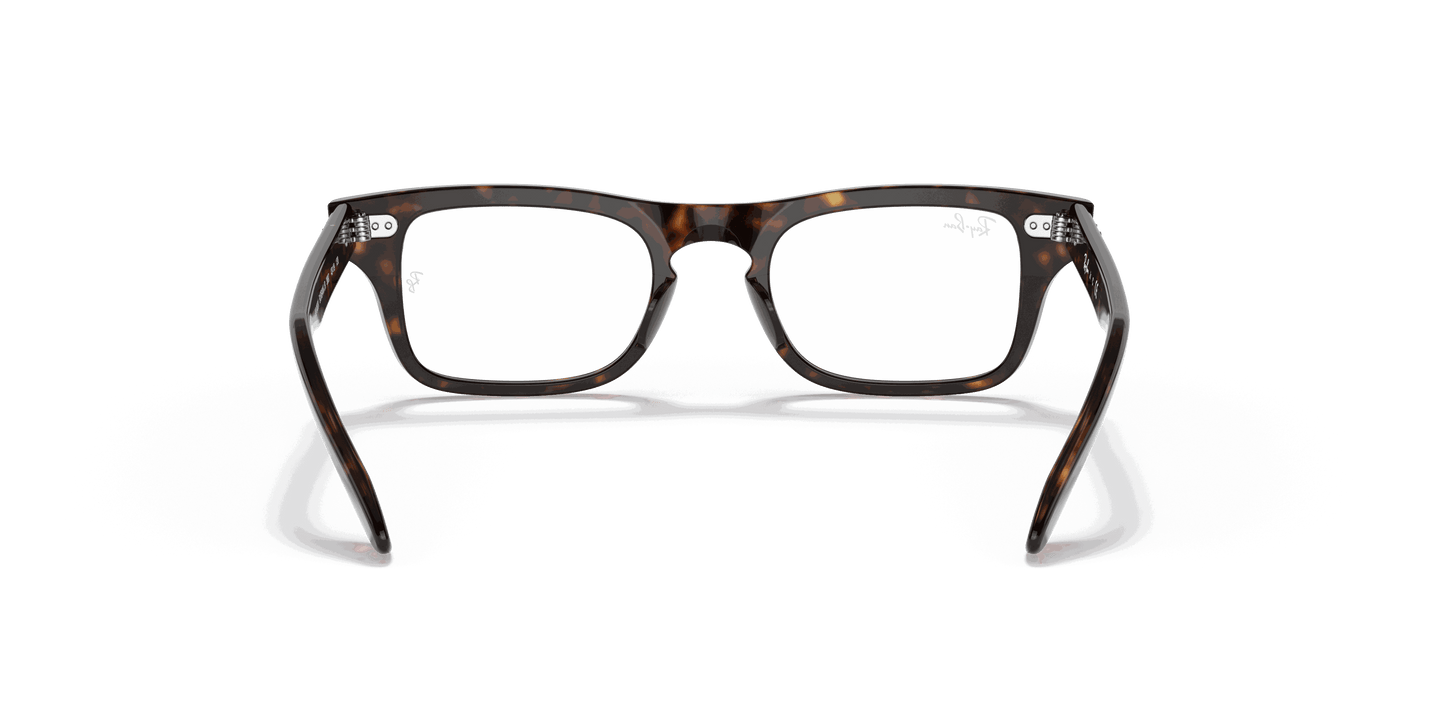 [Clear Lenses, Polished Havana Frame]
