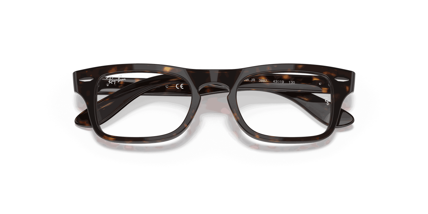 [Clear Lenses, Polished Havana Frame]
