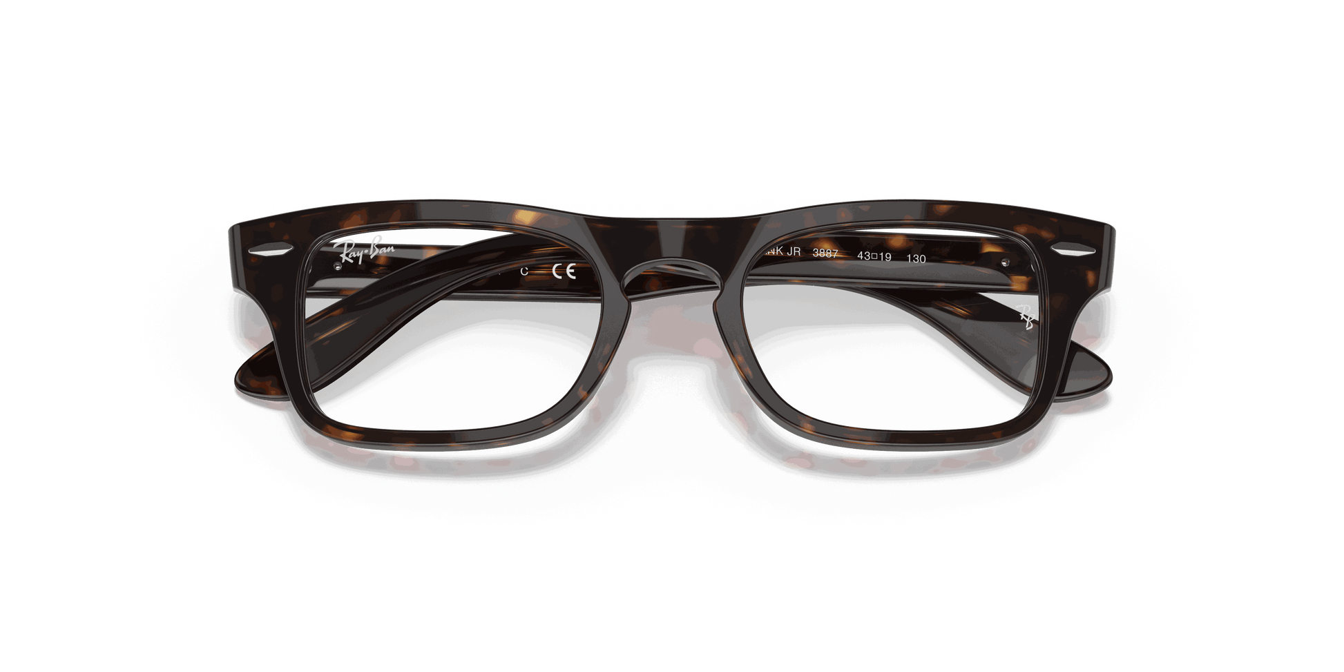 [Clear Lenses, Polished Havana Frame]