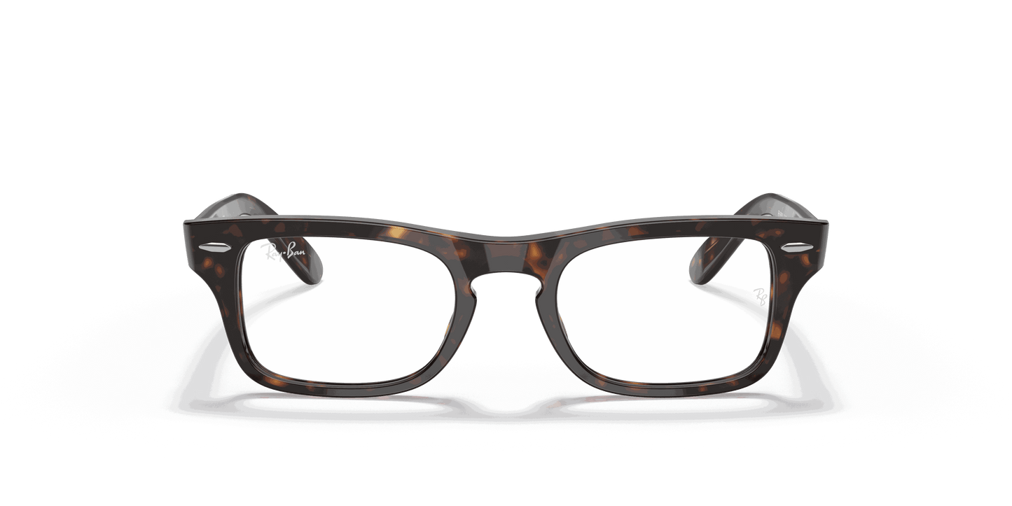 [Clear Lenses, Polished Havana Frame]