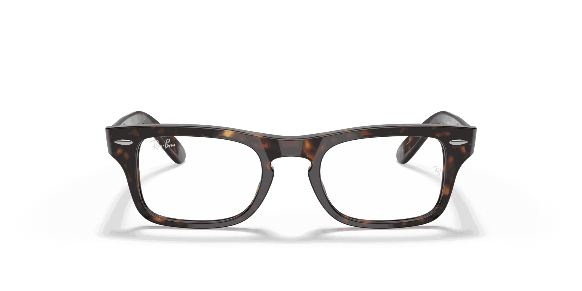 [Clear Lenses, Polished Havana Frame]