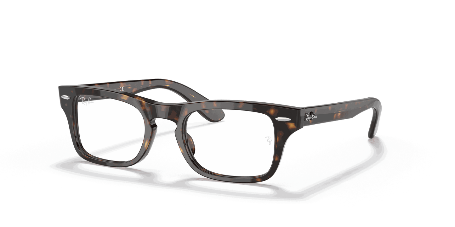 [Clear Lenses, Polished Havana Frame]