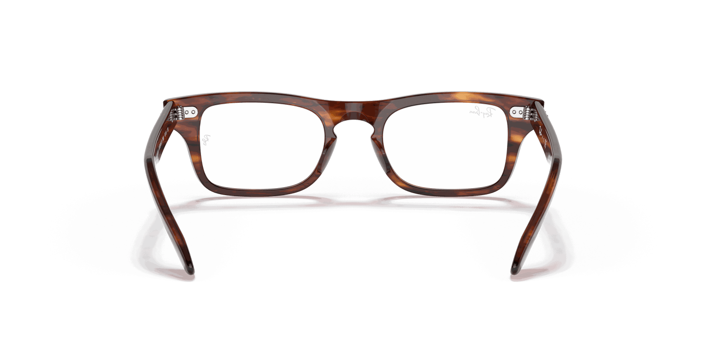 [Clear Lenses, Polished Striped Havana Frame]