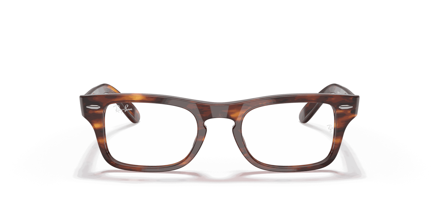 [Clear Lenses, Polished Striped Havana Frame]