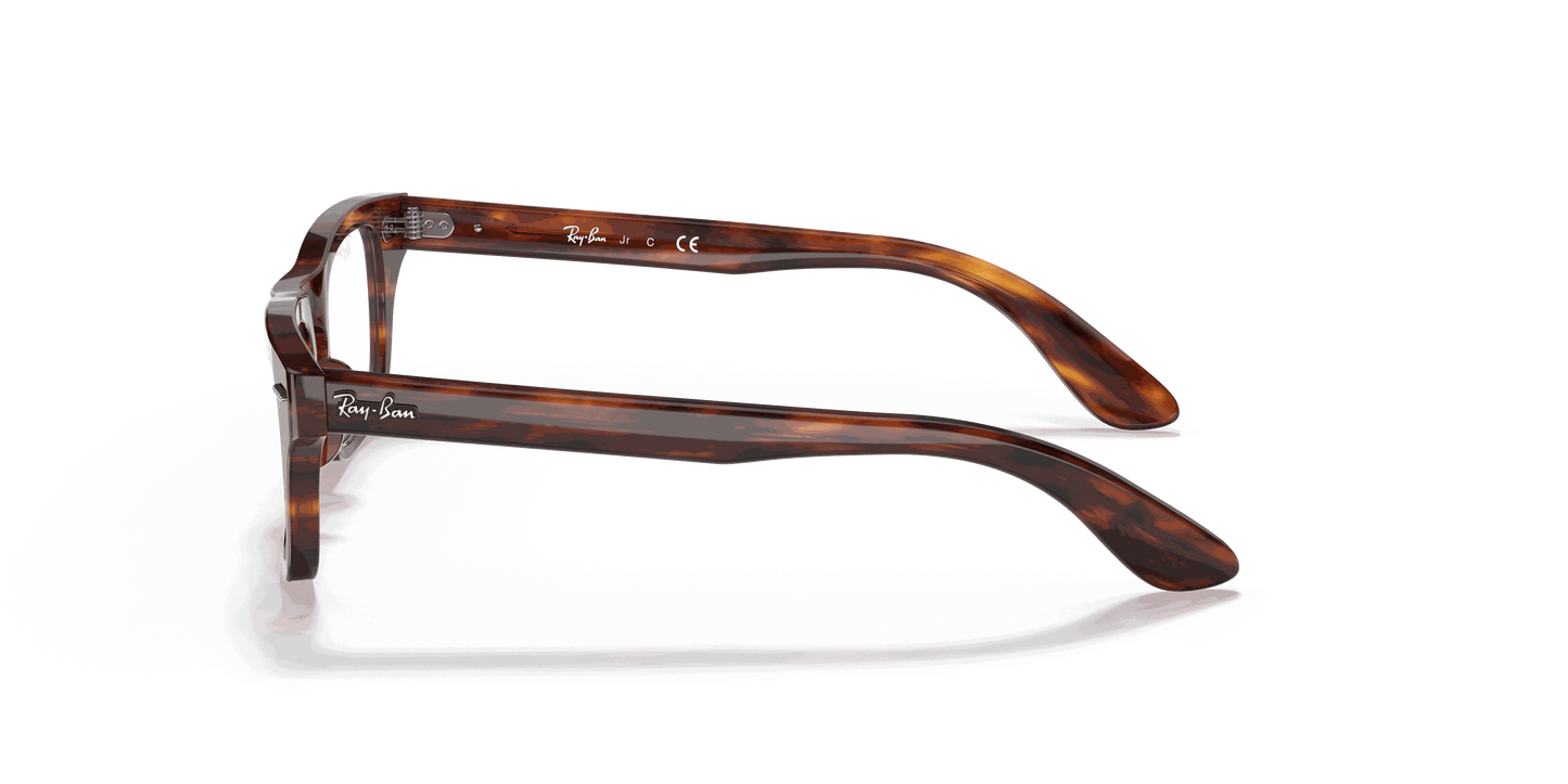 [Clear Lenses, Polished Striped Havana Frame]