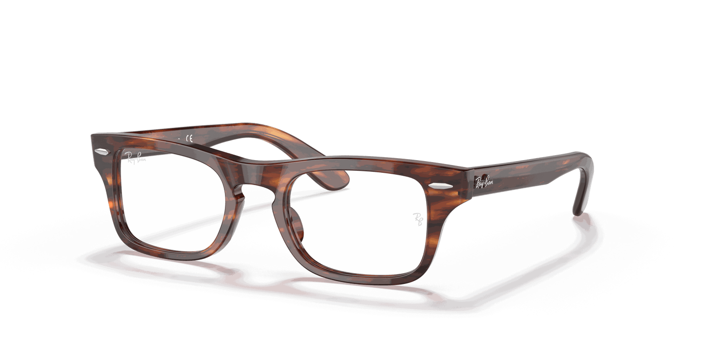 [Clear Lenses, Polished Striped Havana Frame]