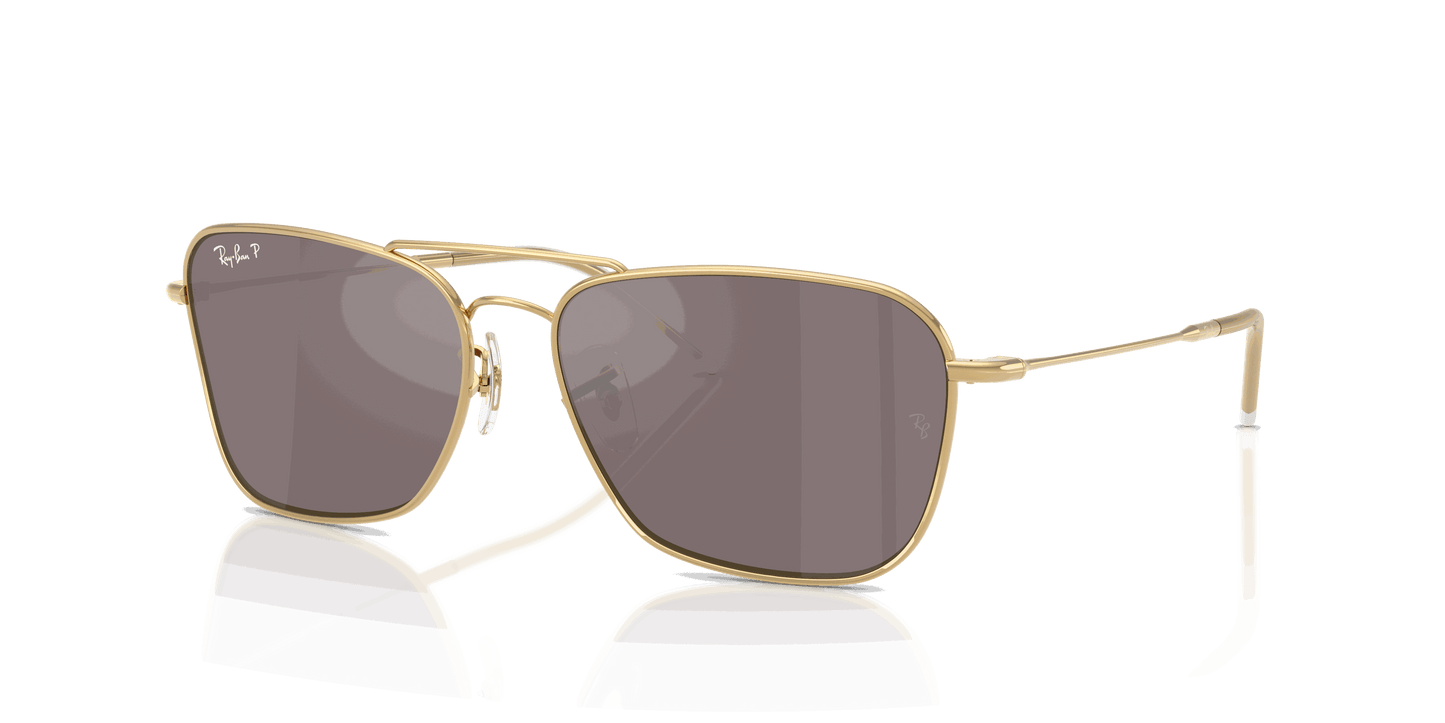[Polar Pink Lenses, Polished Arista Gold Frame]