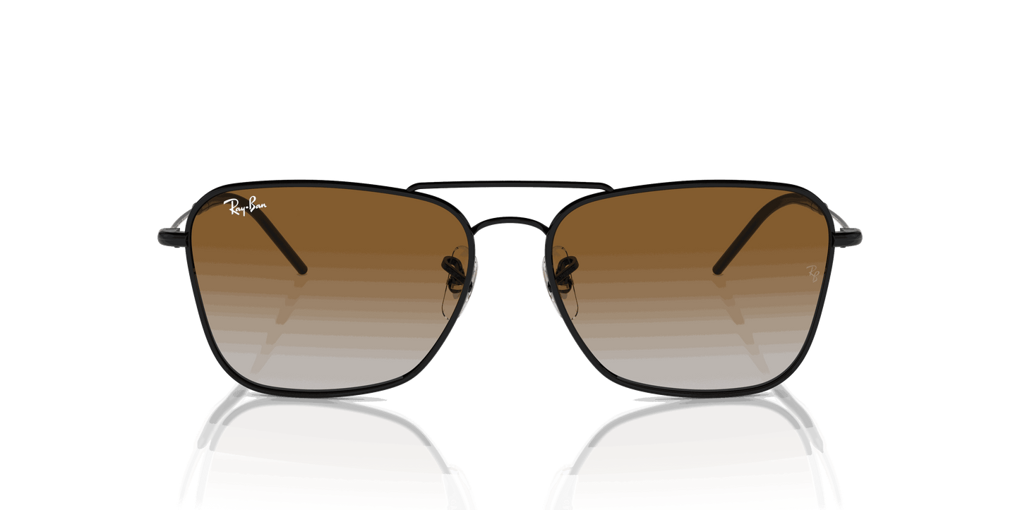 [Brown Lenses, Polished Black Frame]