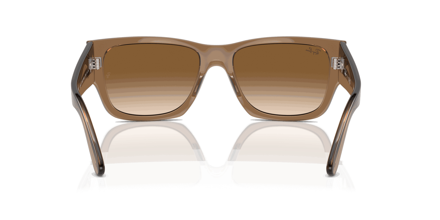 [Clear & Brown Lenses, Polished Transparent Light Brown Frame]