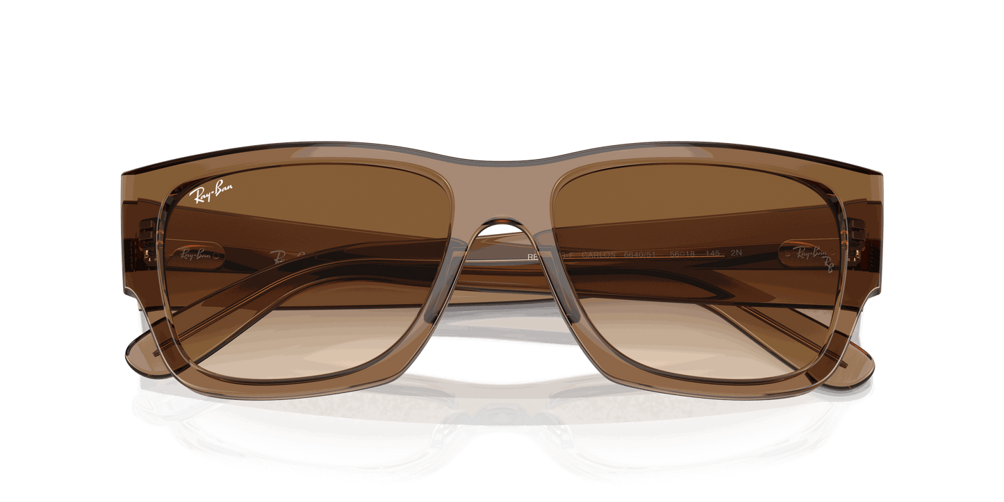 [Clear & Brown Lenses, Polished Transparent Light Brown Frame]