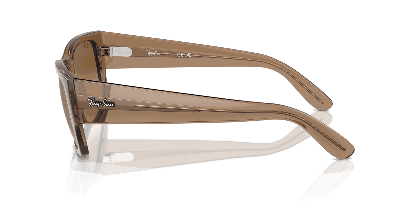 [Clear & Brown Lenses, Polished Transparent Light Brown Frame]