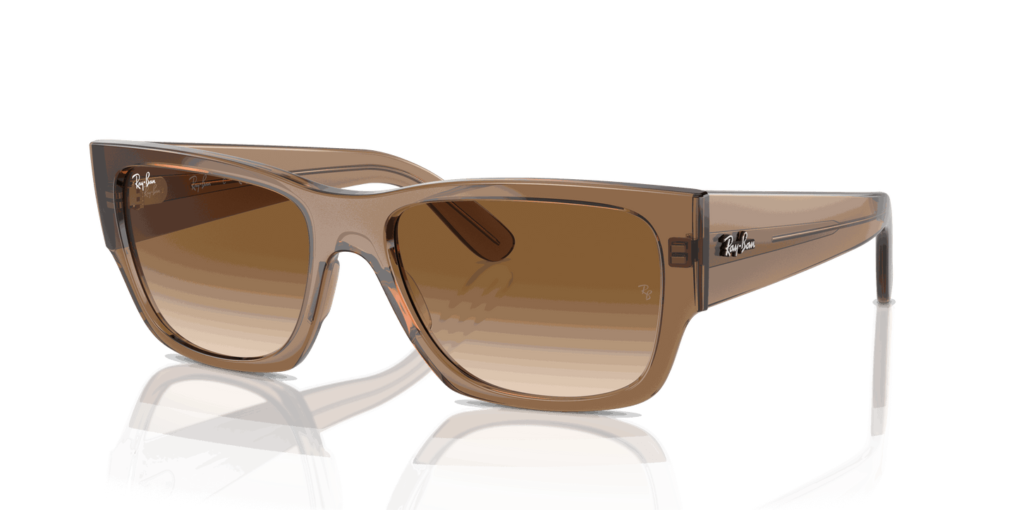 [Clear & Brown Lenses, Polished Transparent Light Brown Frame]