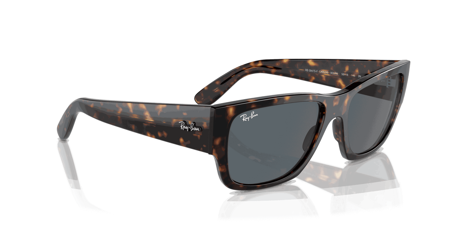 [Blue Lenses, Polished Havana Frame]
