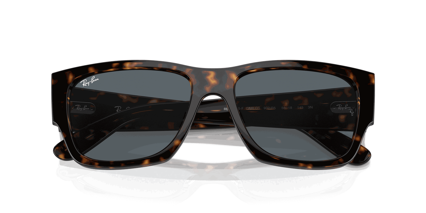 [Blue Lenses, Polished Havana Frame]