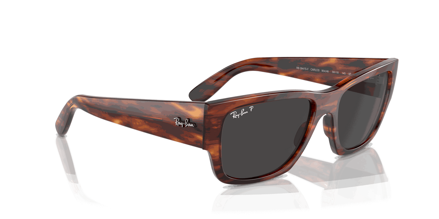 [Black Lenses, Polished Striped Havana Frame]