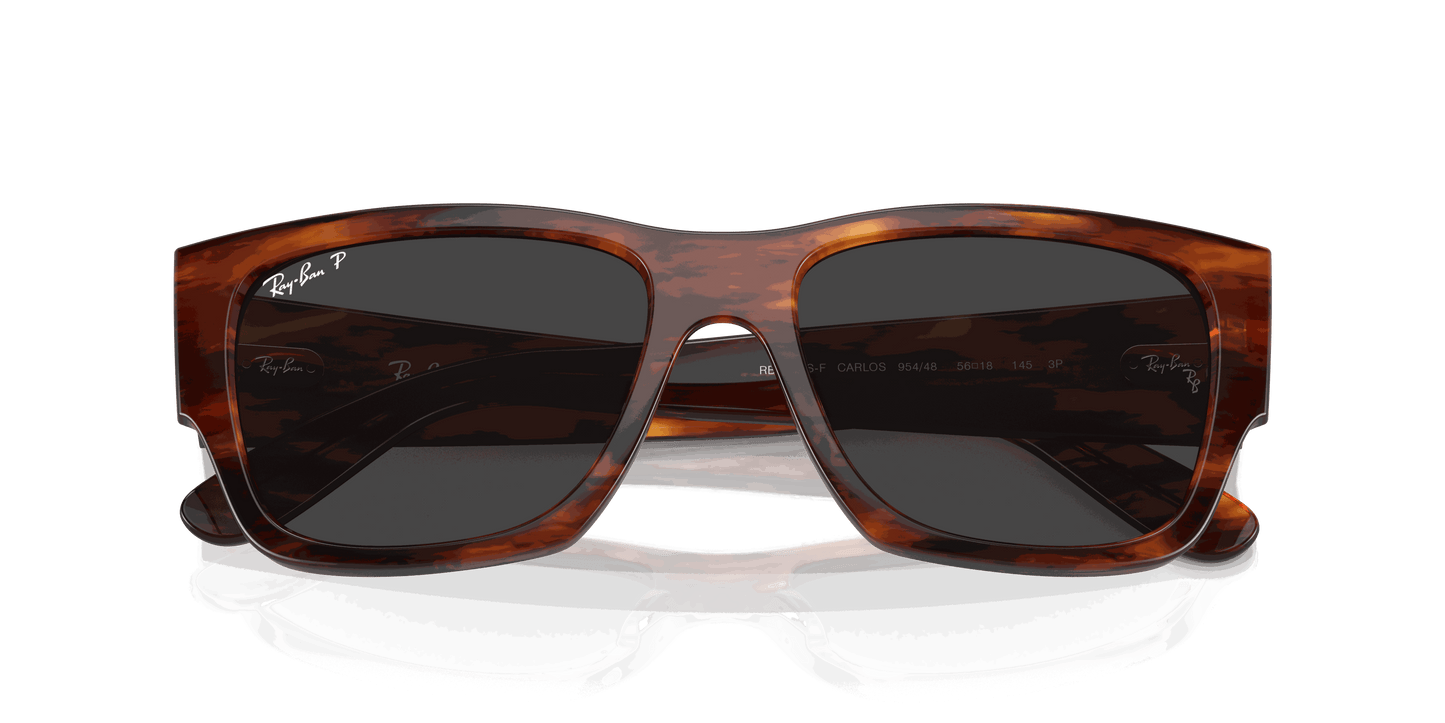 [Black Lenses, Polished Striped Havana Frame]
