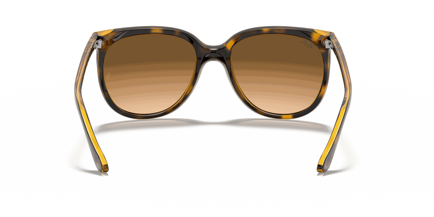 [Light Brown Gradient Lenses, Polished Light Havana Frame]