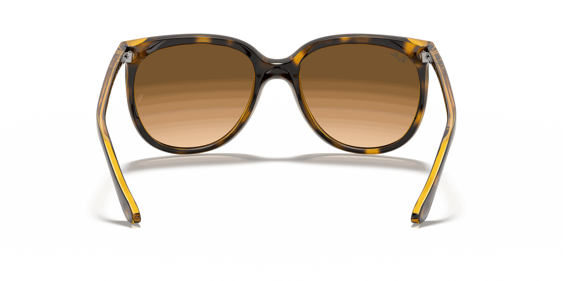 [Light Brown Gradient Lenses, Polished Light Havana Frame]
