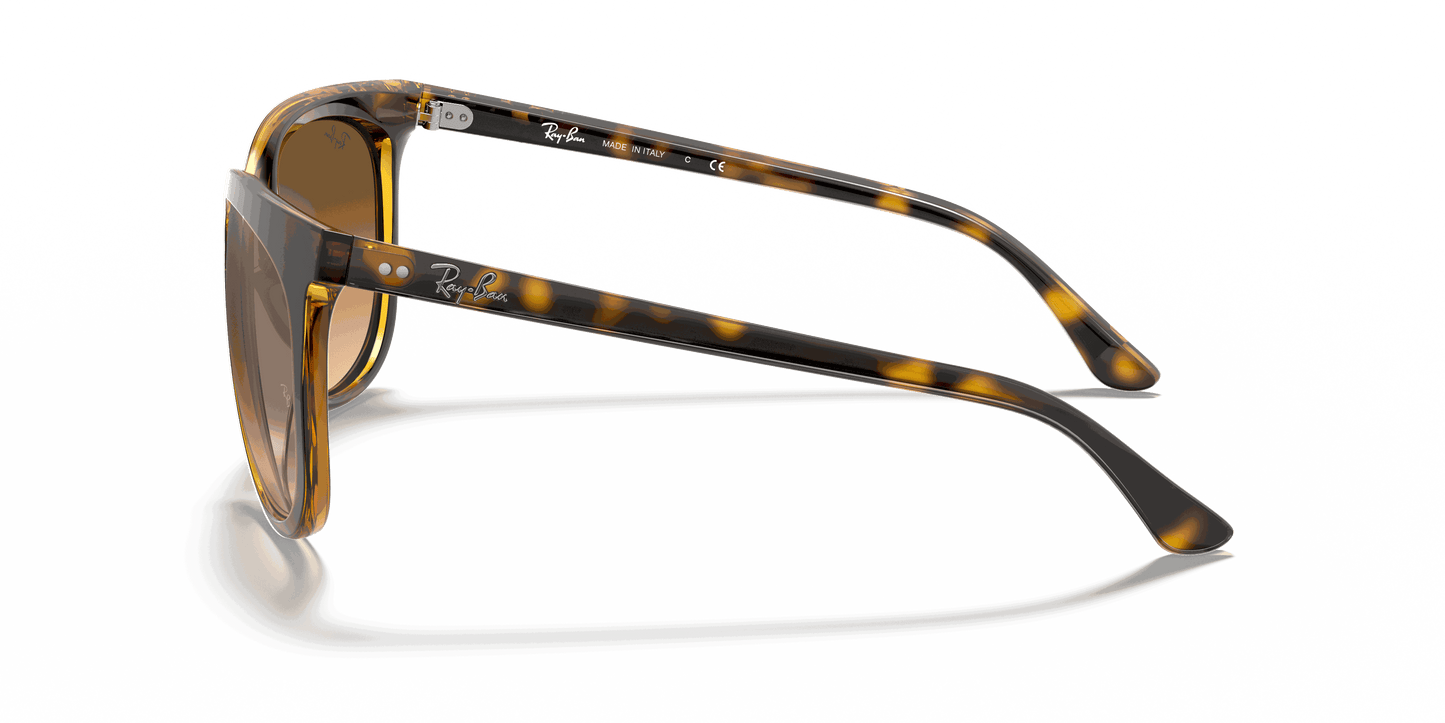 [Light Brown Gradient Lenses, Polished Light Havana Frame]