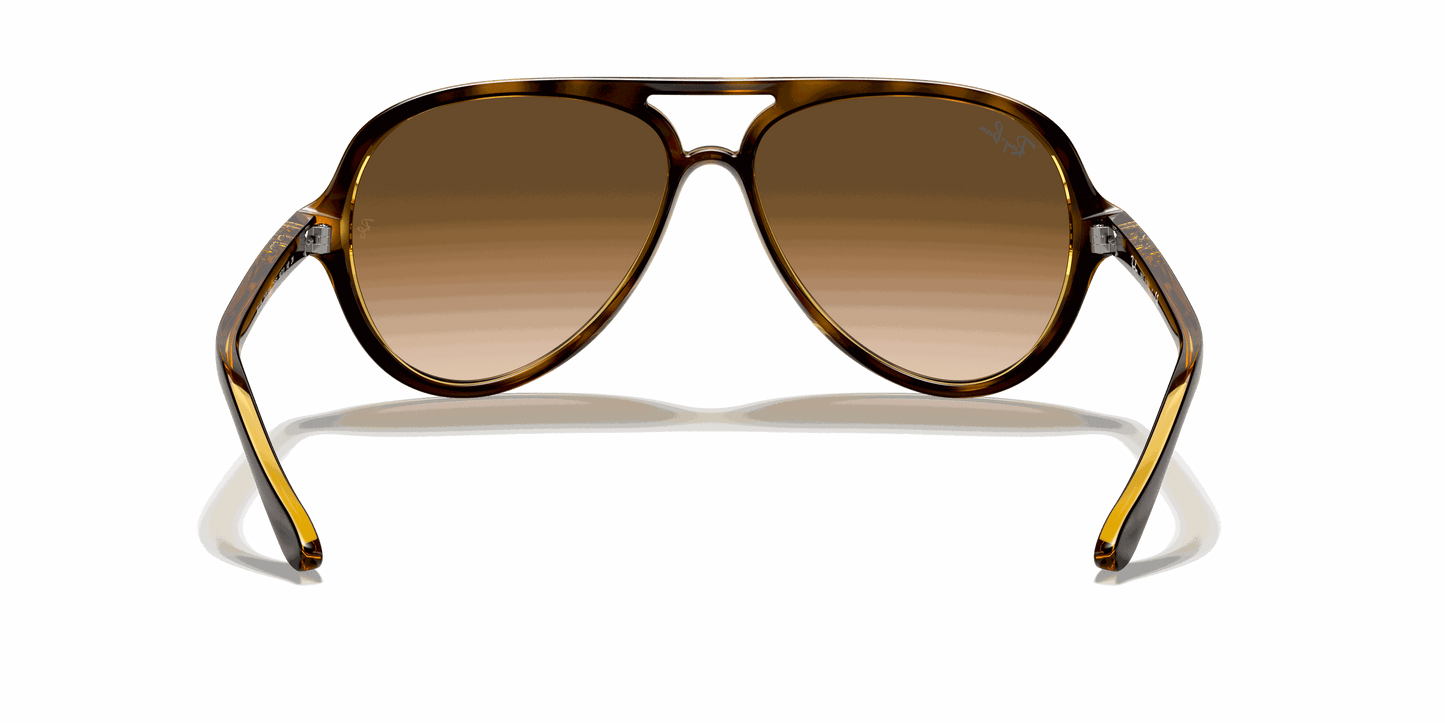 [Light Brown Gradient Lenses, Polished Light Havana Frame]