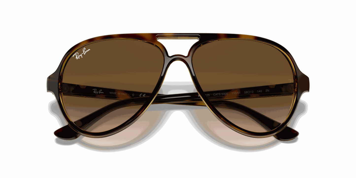 [Light Brown Gradient Lenses, Polished Light Havana Frame]