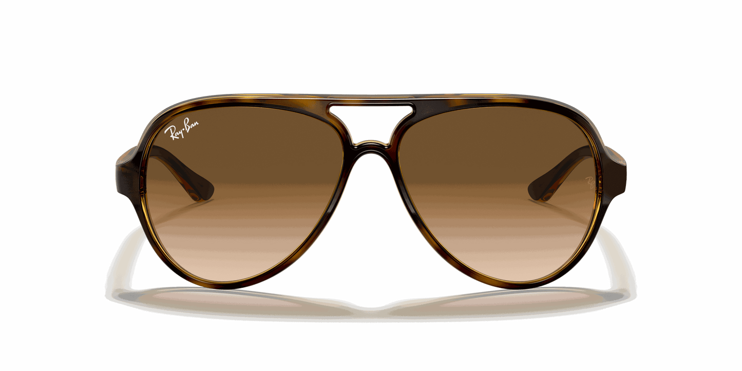 [Light Brown Gradient Lenses, Polished Light Havana Frame]