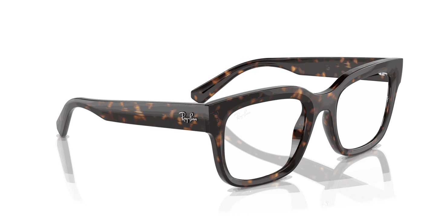 [Clear Lenses, Polished Havana Frame]
