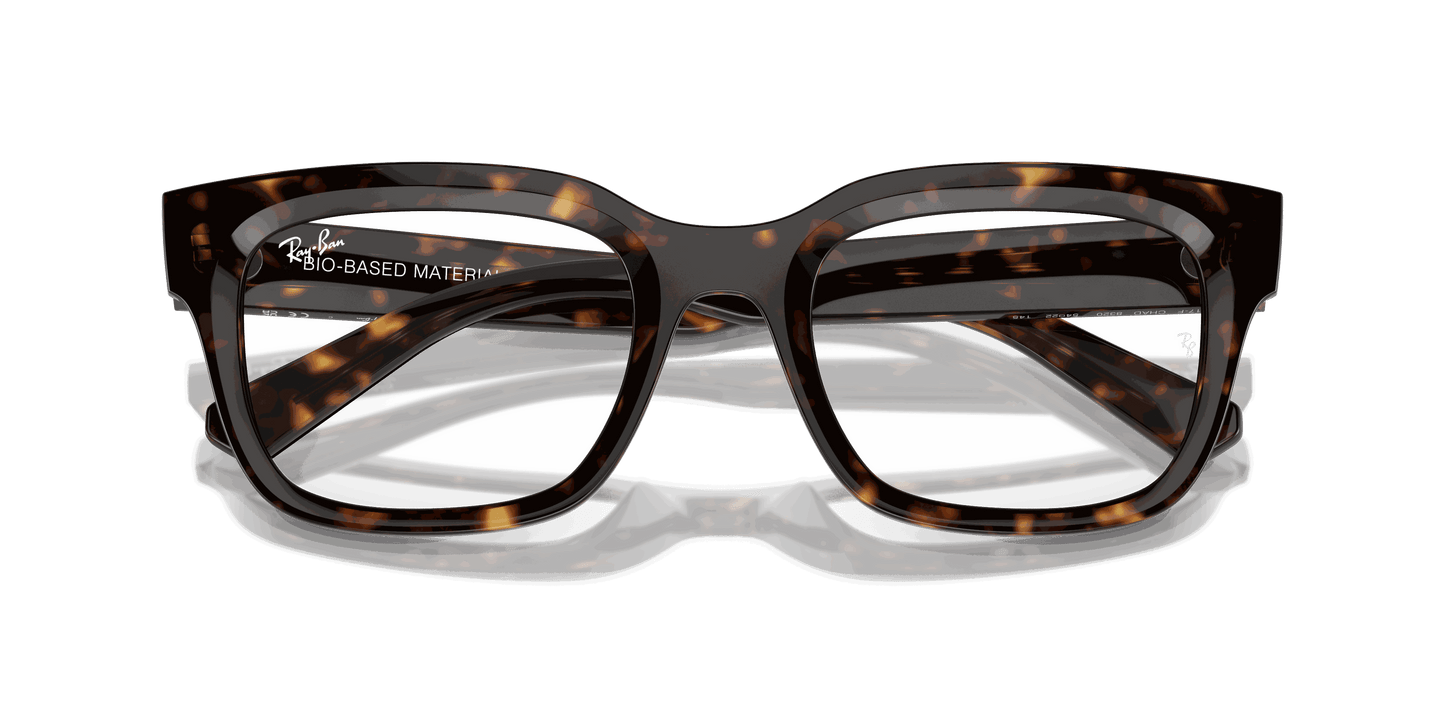 [Clear Lenses, Polished Havana Frame]