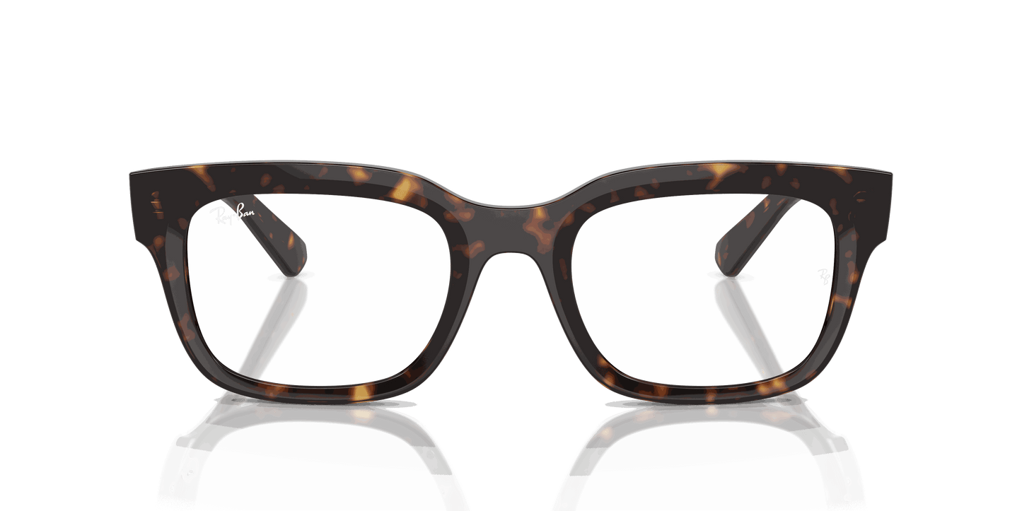 [Clear Lenses, Polished Havana Frame]