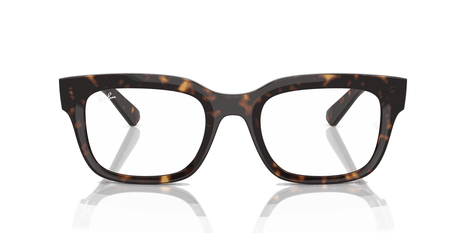 [Clear Lenses, Polished Havana Frame]