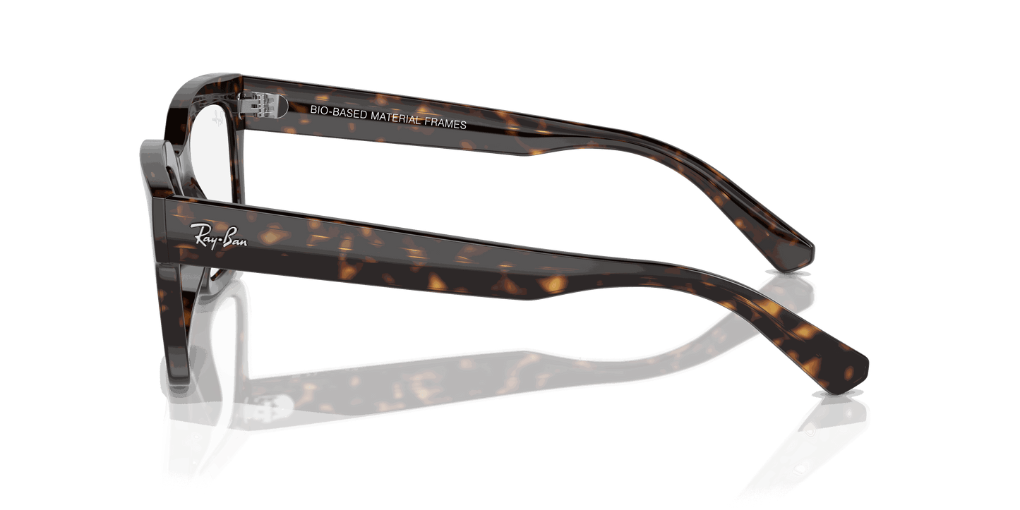 [Clear Lenses, Polished Havana Frame]