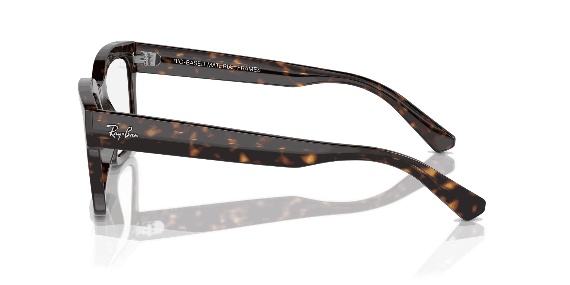 [Clear Lenses, Polished Havana Frame]
