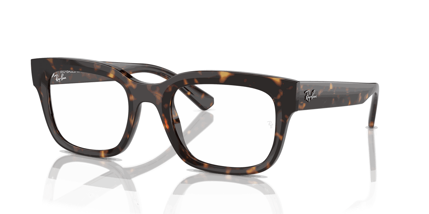 [Clear Lenses, Polished Havana Frame]