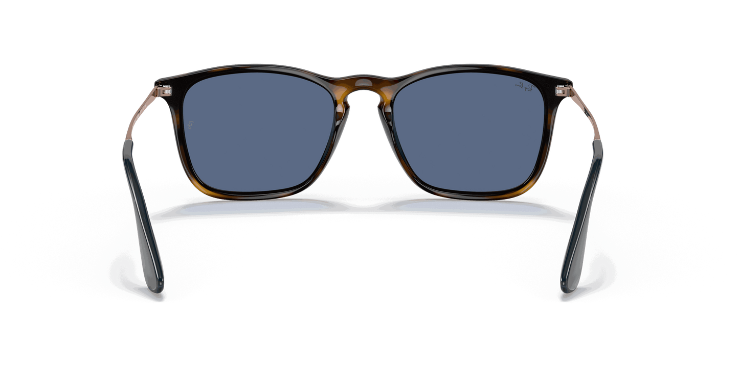 [Blue Lenses, Polished Havana Frame]