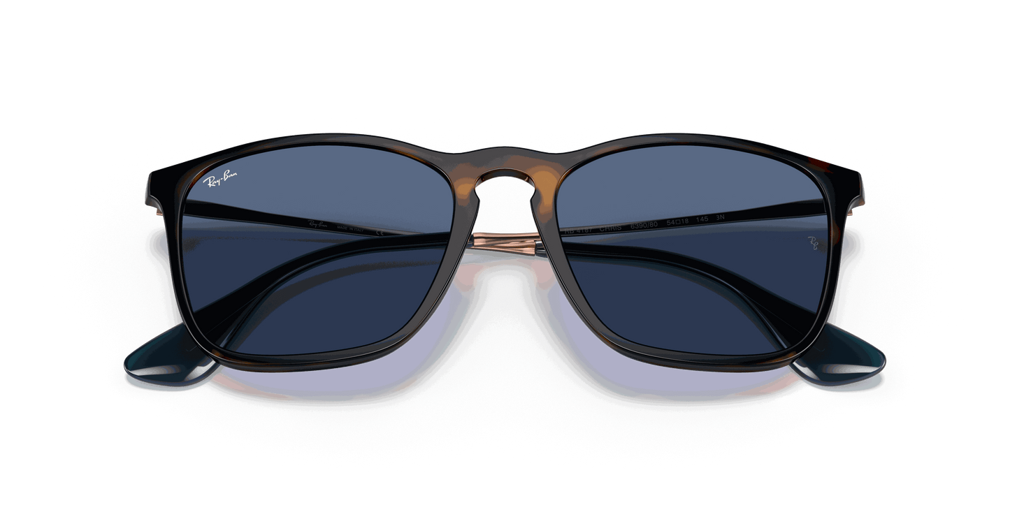 [Blue Lenses, Polished Havana Frame]
