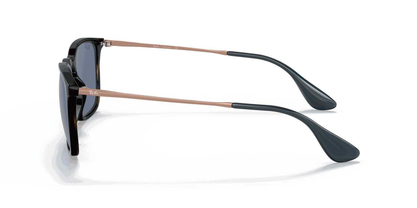 [Blue Lenses, Polished Havana Frame]