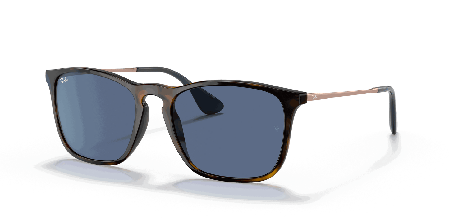 [Blue Lenses, Polished Havana Frame]