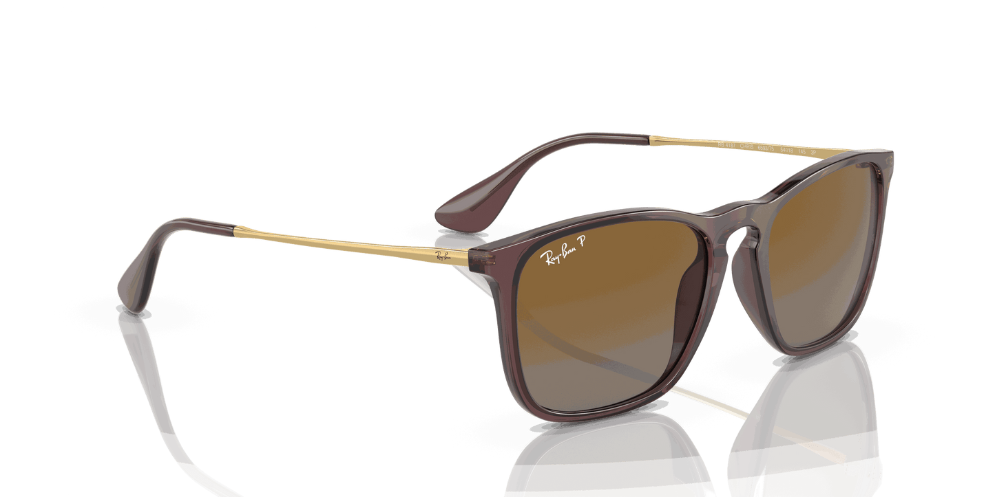 [Brown Lenses, Polished Transparent Brown Frame]