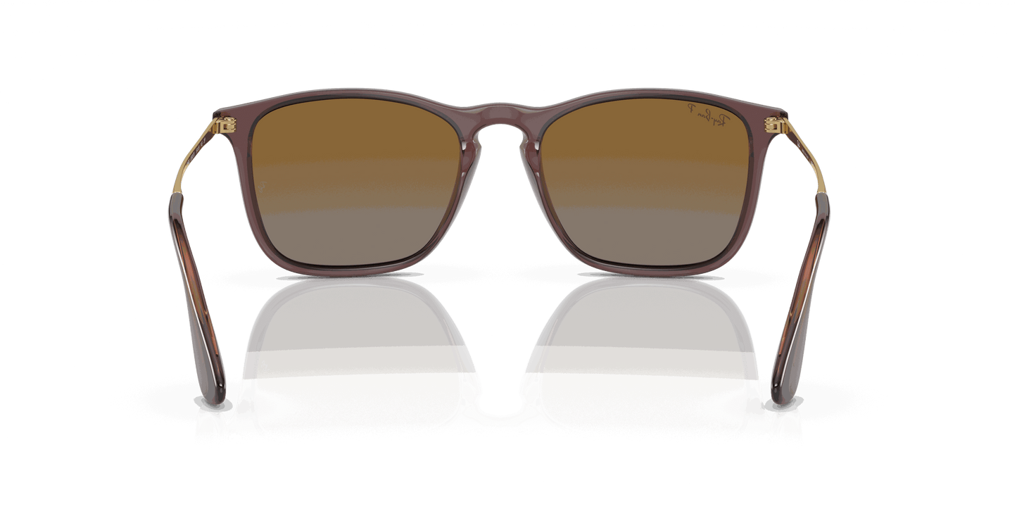[Brown Lenses, Polished Transparent Brown Frame]