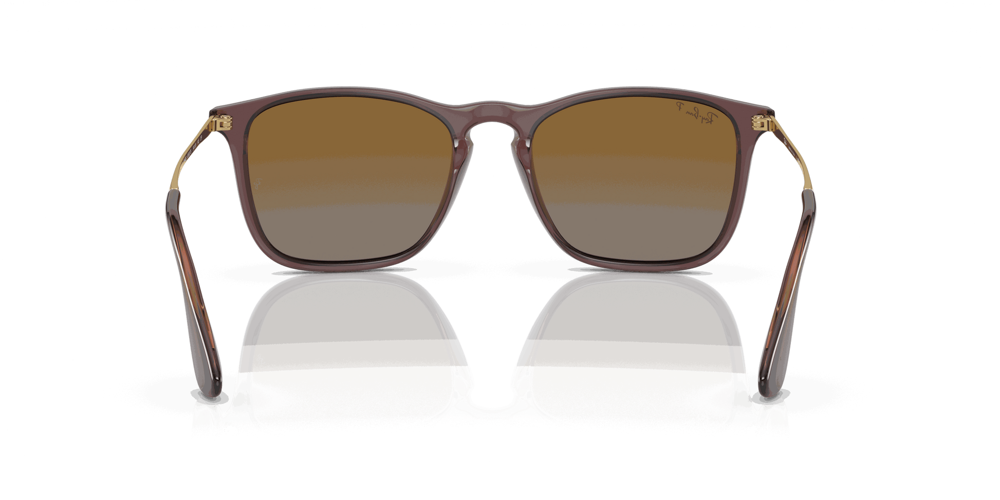 [Brown Lenses, Polished Transparent Brown Frame]
