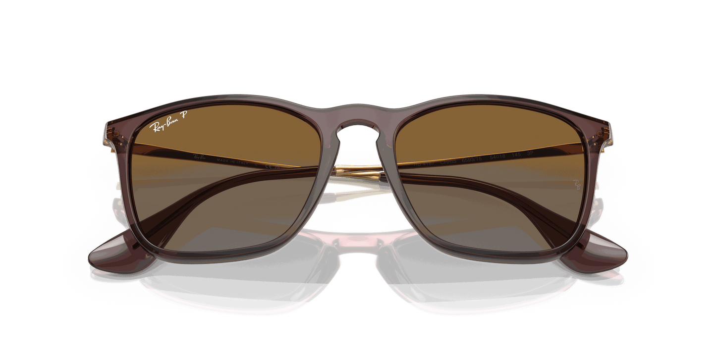 [Brown Lenses, Polished Transparent Brown Frame]