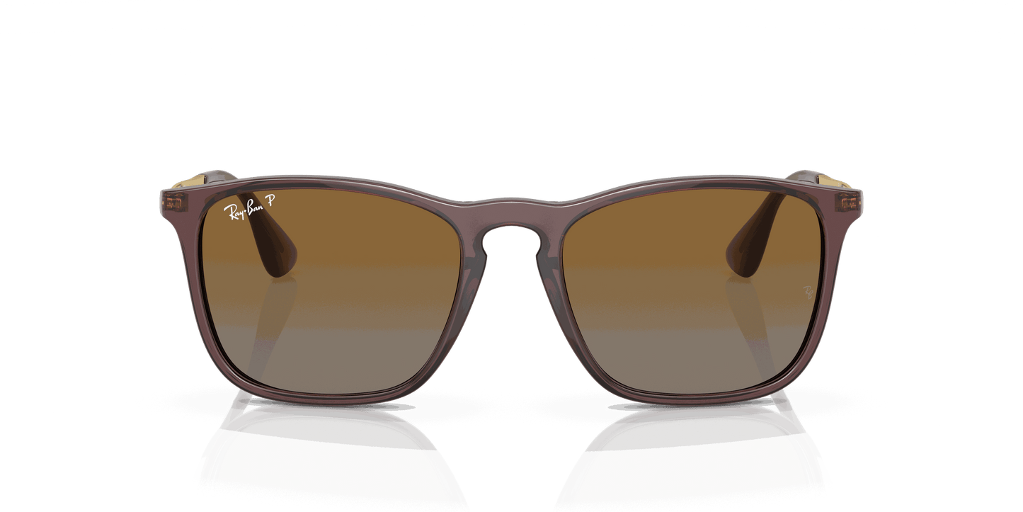 [Brown Lenses, Polished Transparent Brown Frame]