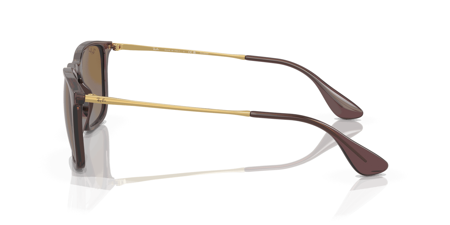 [Brown Lenses, Polished Transparent Brown Frame]