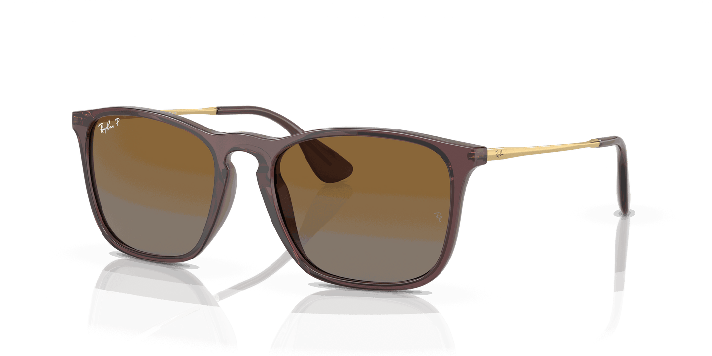 [Brown Lenses, Polished Transparent Brown Frame]