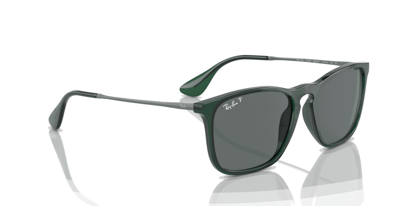 [Dark Grey Lenses, Polished Transparent Green Frame]