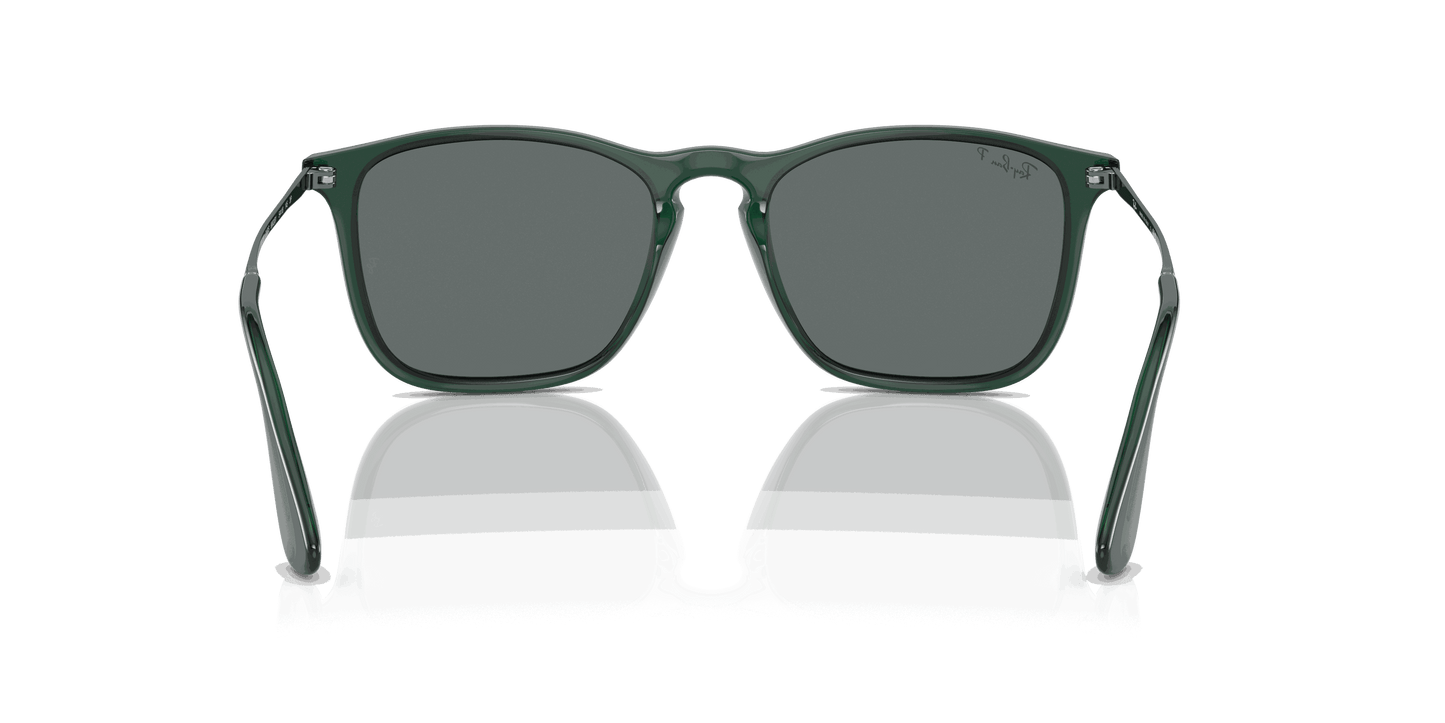 [Dark Grey Lenses, Polished Transparent Green Frame]