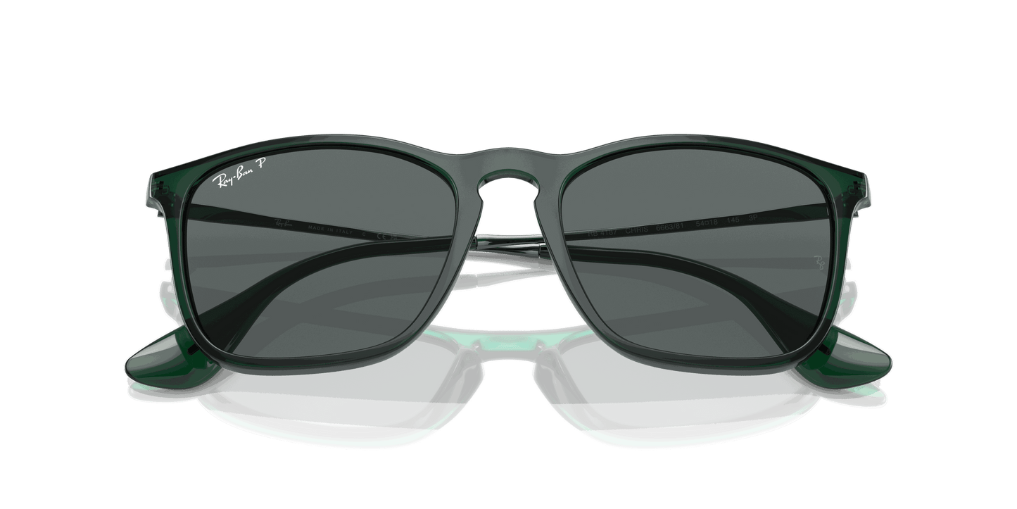[Dark Grey Lenses, Polished Transparent Green Frame]