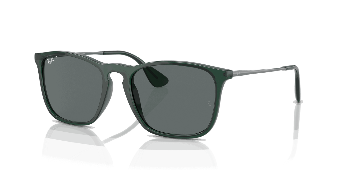 [Dark Grey Lenses, Polished Transparent Green Frame]
