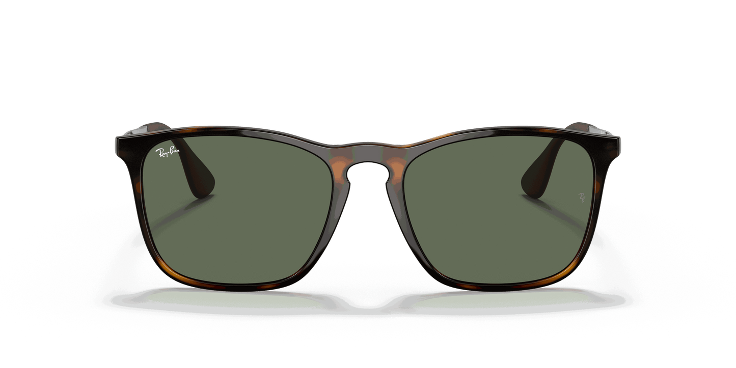 [Dark Green Lenses, Polished Light Havana Frame]