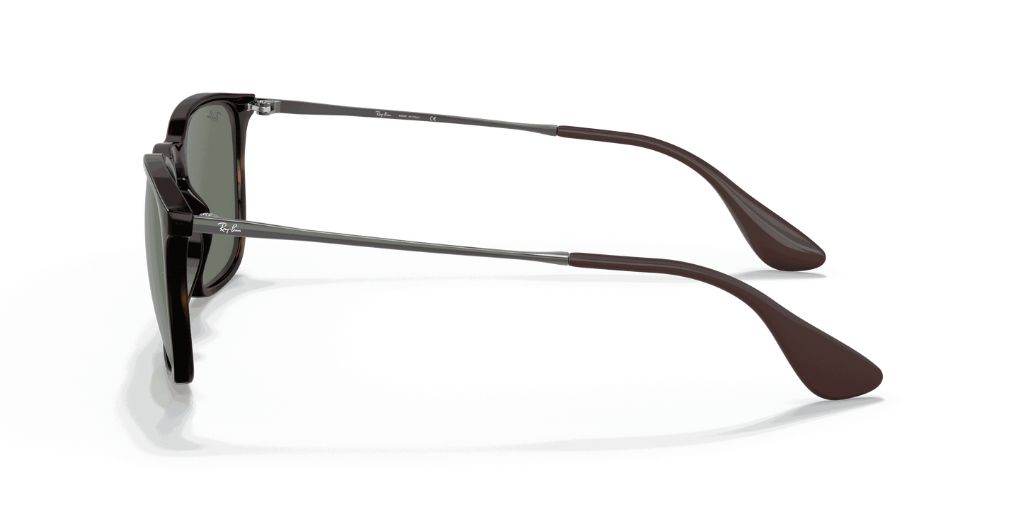 [Dark Green Lenses, Polished Light Havana Frame]